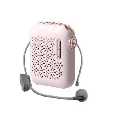 T26 Wireless Voice Amplifier