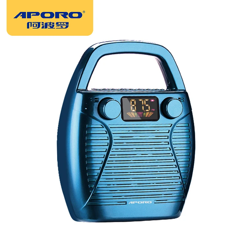T200 Portable PA Amplifier